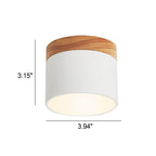 Scandinavian Macaron LED Ceiling Light