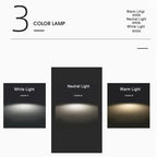 Scandinavian Macaron LED Ceiling Light