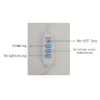 Modern LED Swirl Table Lamp