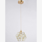 Floral Glass Pendant Light with Brass Fittings - view 17