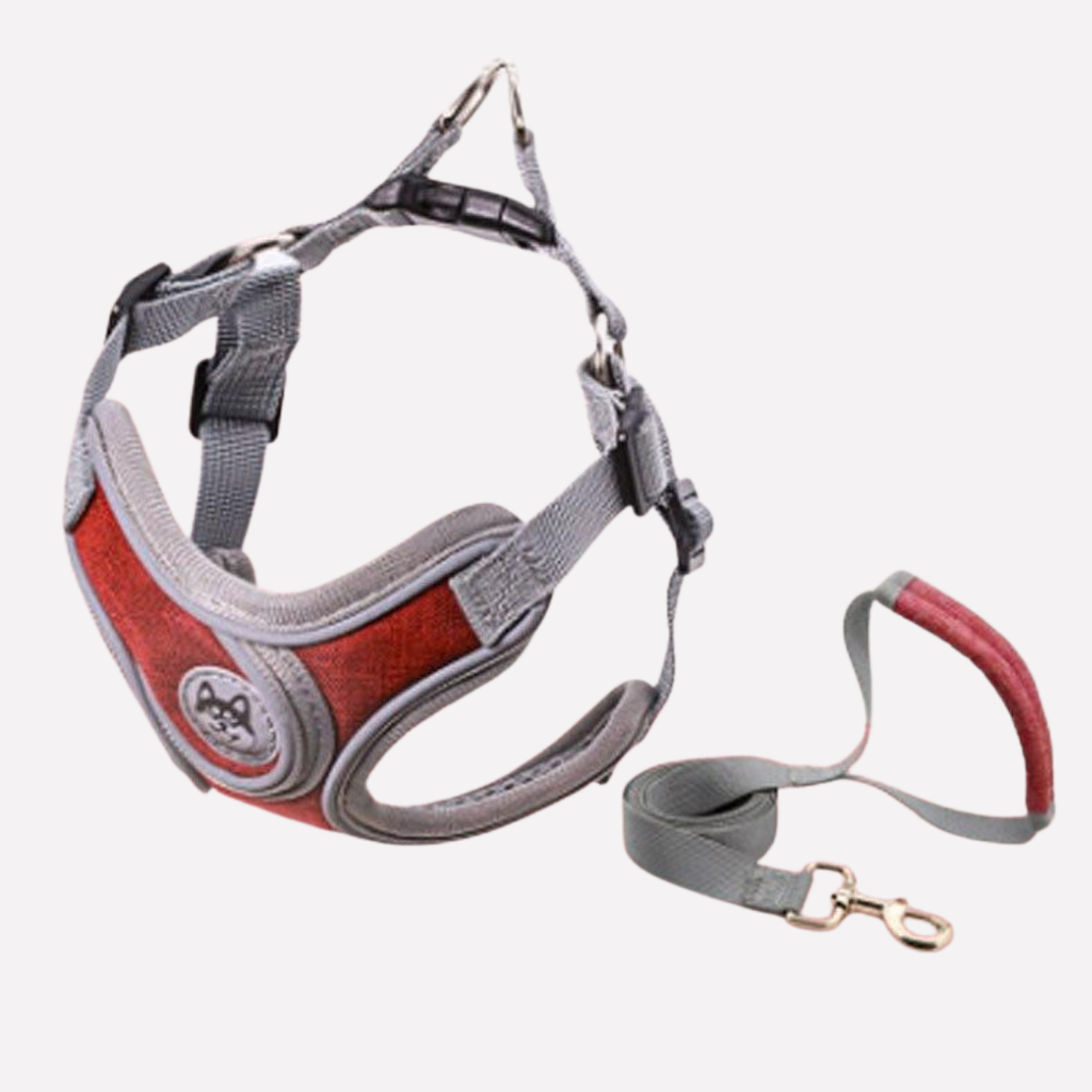 Reflective Oxford Dog Harness and Lead Set — product view 1