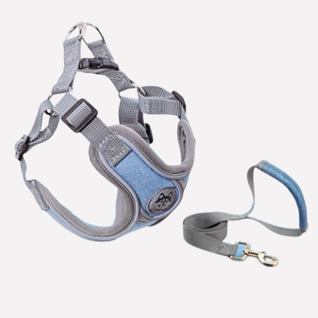 Reflective Oxford Dog Harness and Lead Set — product view 3