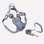 Reflective Oxford Dog Harness and Lead Set — product view 3