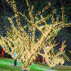 Solar Outdoor Fairy String Lights, Warm White LED - view 3