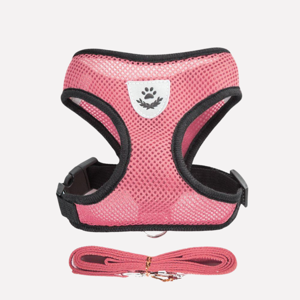Adjustable Mesh Dog Harness and Lead Set — product view 3