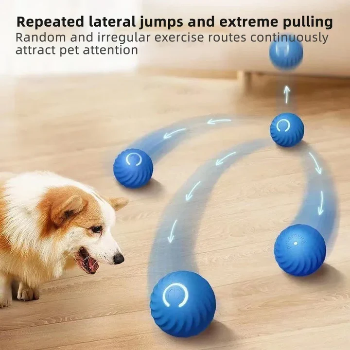 Interactive Rolling Dog Toy Ball — product view 1