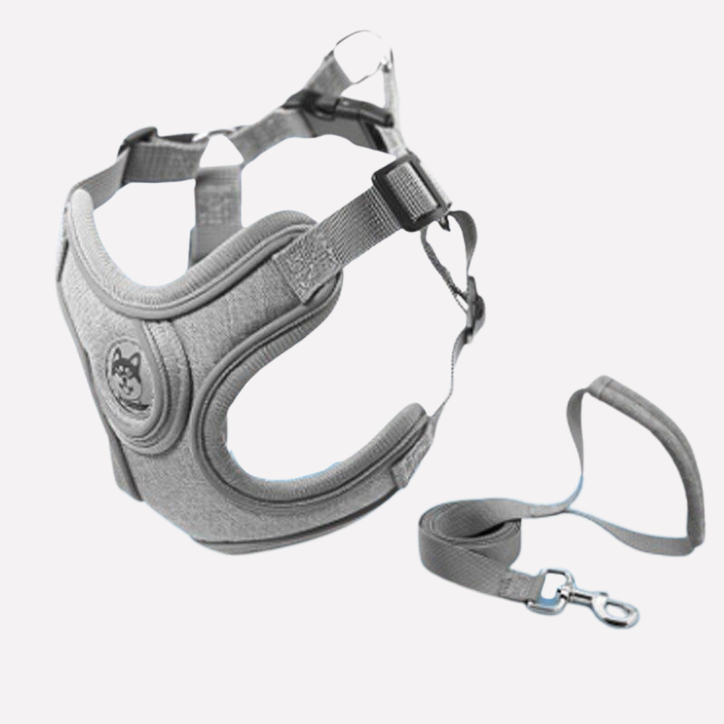 Reflective Oxford Dog Harness and Lead Set — product view 4