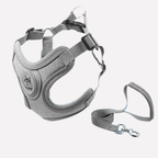 Reflective Oxford Dog Harness and Lead Set — product view 4