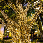 Solar Outdoor Fairy String Lights, Warm White LED - view 5