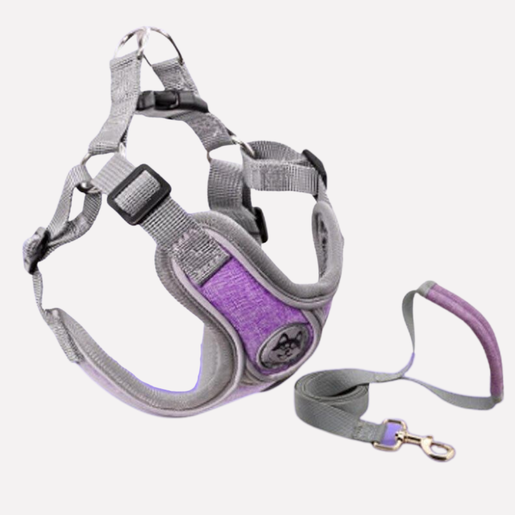 Reflective Oxford Dog Harness and Lead Set — product view 5