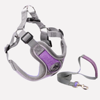 Reflective Oxford Dog Harness and Lead Set — product view 5