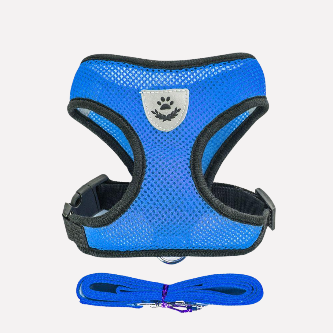 Adjustable Mesh Dog Harness and Lead Set — product view 4