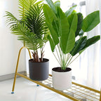 Modern Round Planter with Wooden Legs