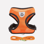 Adjustable Mesh Dog Harness and Lead Set — product view 5