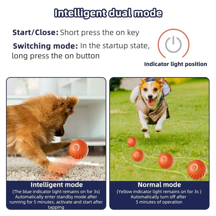 Interactive Rolling Dog Toy Ball — product view 3