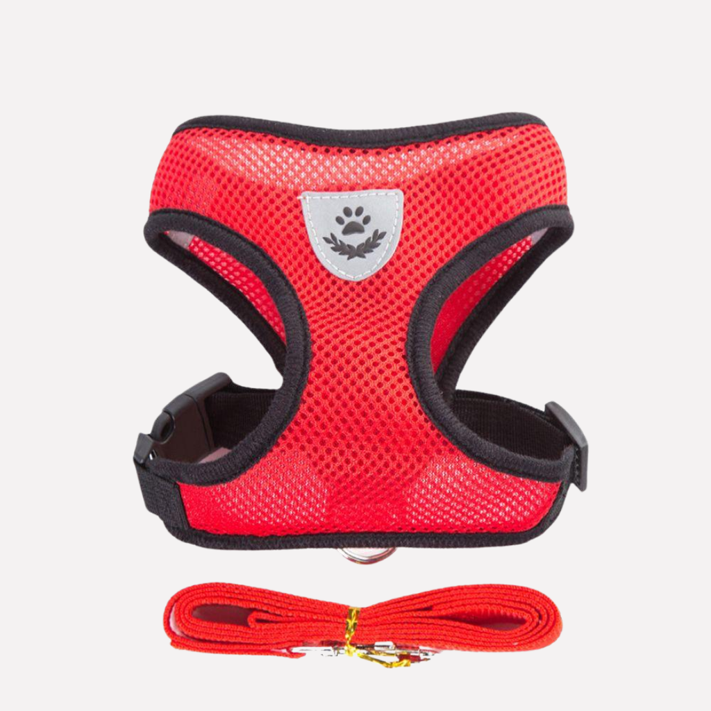 Adjustable Mesh Dog Harness and Lead Set — product view 6
