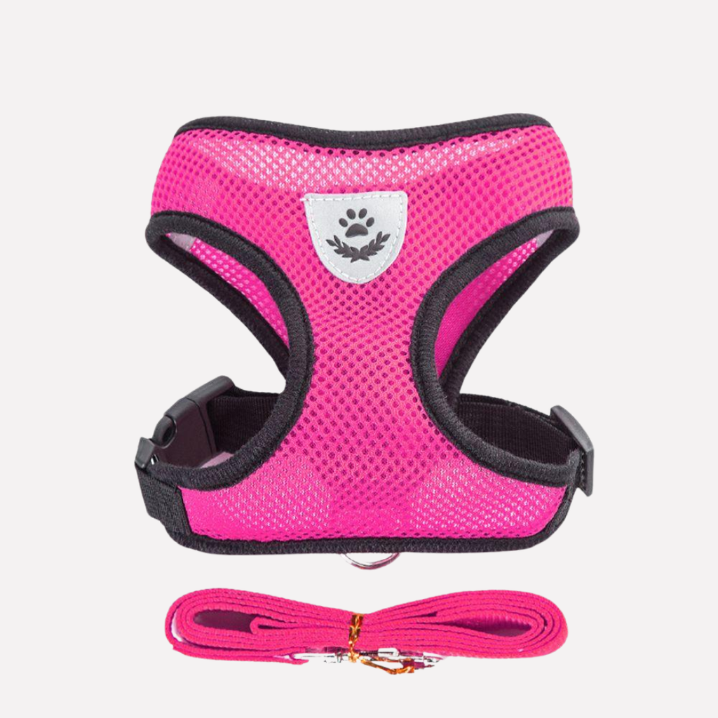 Adjustable Mesh Dog Harness and Lead Set — product view 7