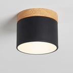 Scandinavian Macaron LED Ceiling Light