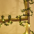 Willow Leaf LED Fairy Light Garland, USB or Battery - view 1