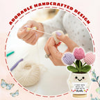 Crochet Flower Pot Keepsake, Decorative Desk Gift — product view 3