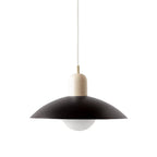 Two-Tone Metal Pendant Light, 32 cm Shade - view 27