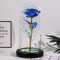 Rose Figure Display Glass Dome Gift Decoration