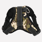 Adjustable Dog Harness and Matching Lead, Four Sizes — product view 3