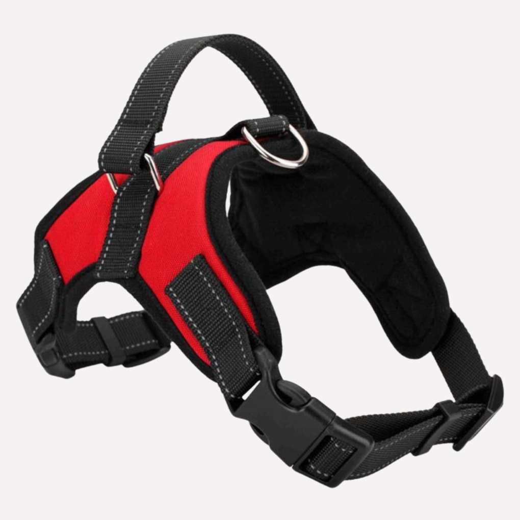 Adjustable Dog Harness and Matching Lead, Four Sizes — product view 4