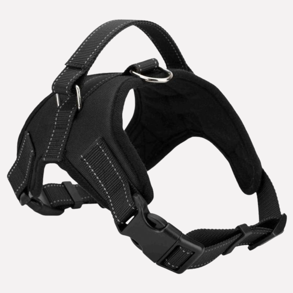 Adjustable Dog Harness and Matching Lead, Four Sizes — product view 1