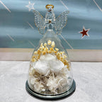 Flower Gift Glass Dome Preserved Rose Angel Light Display