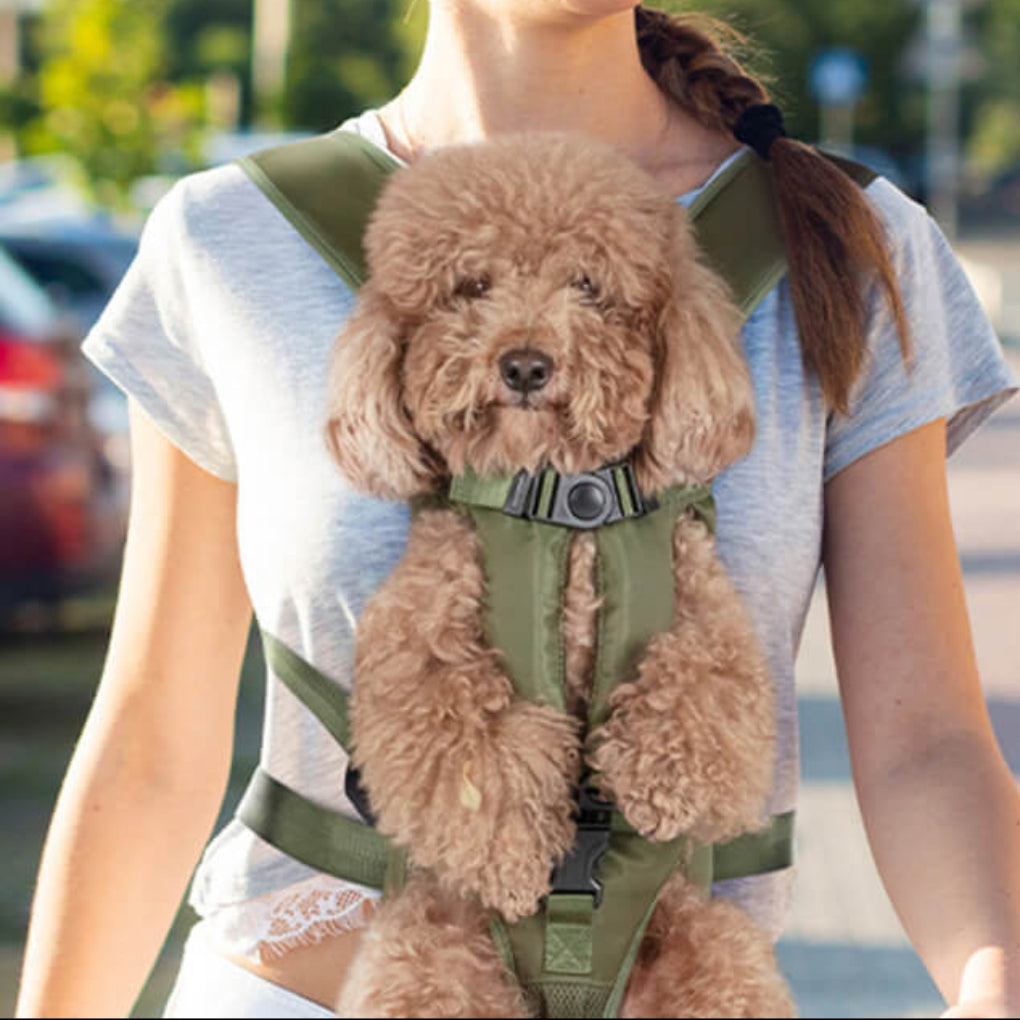 Breathable Dog Carrier Backpack, Oxford Fabric Travel Pack — product view 2