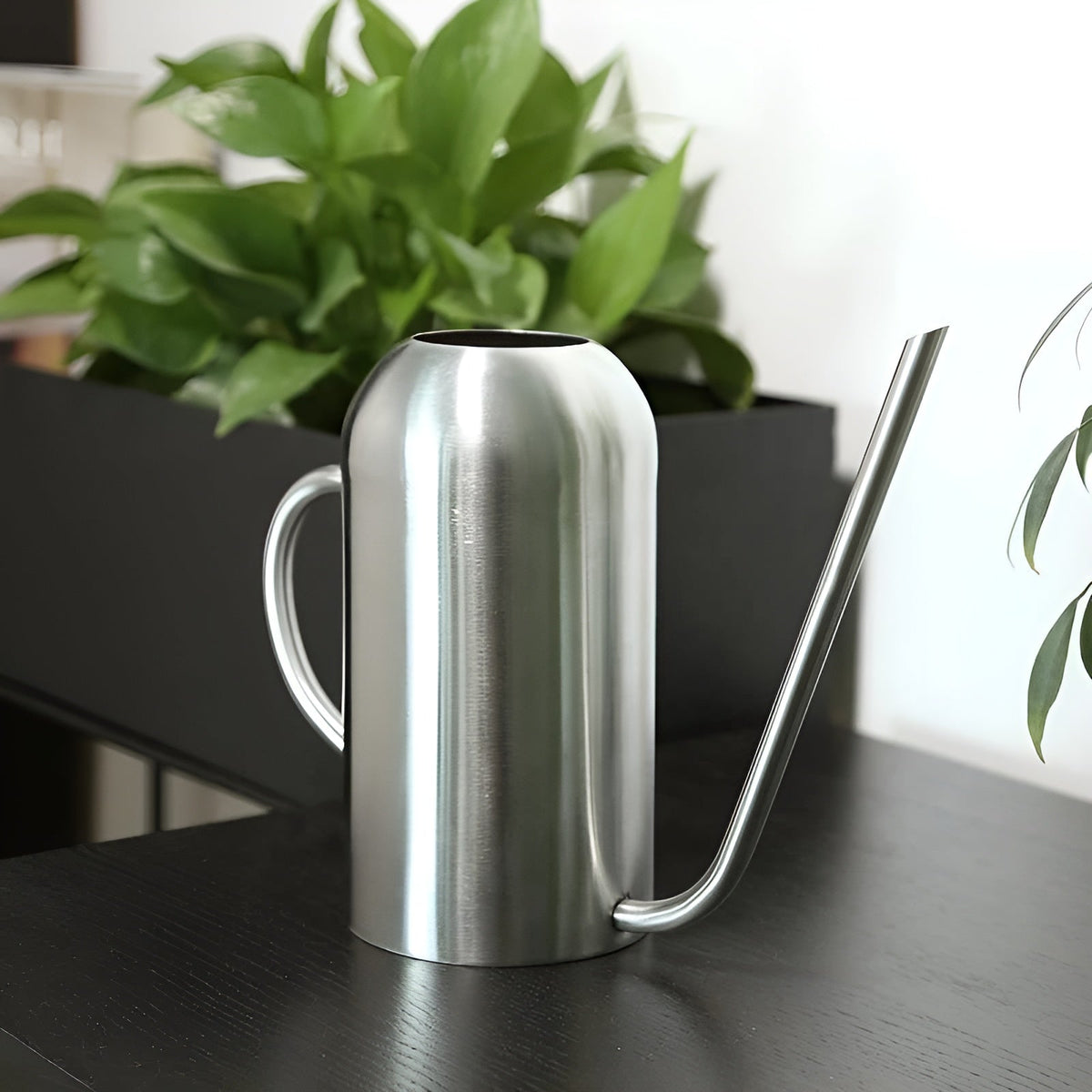 Stainless Steel Long Spout Watering Can, 1.5 L