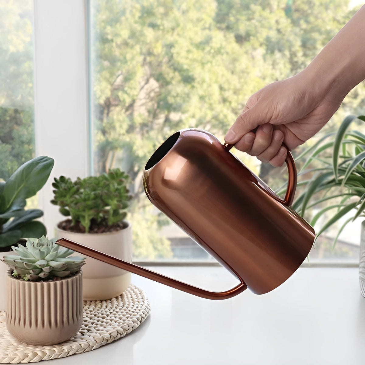 Stainless Steel Long Spout Watering Can, 1.5 L