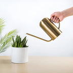 Stainless Steel Long Spout Watering Can, 1.5 L