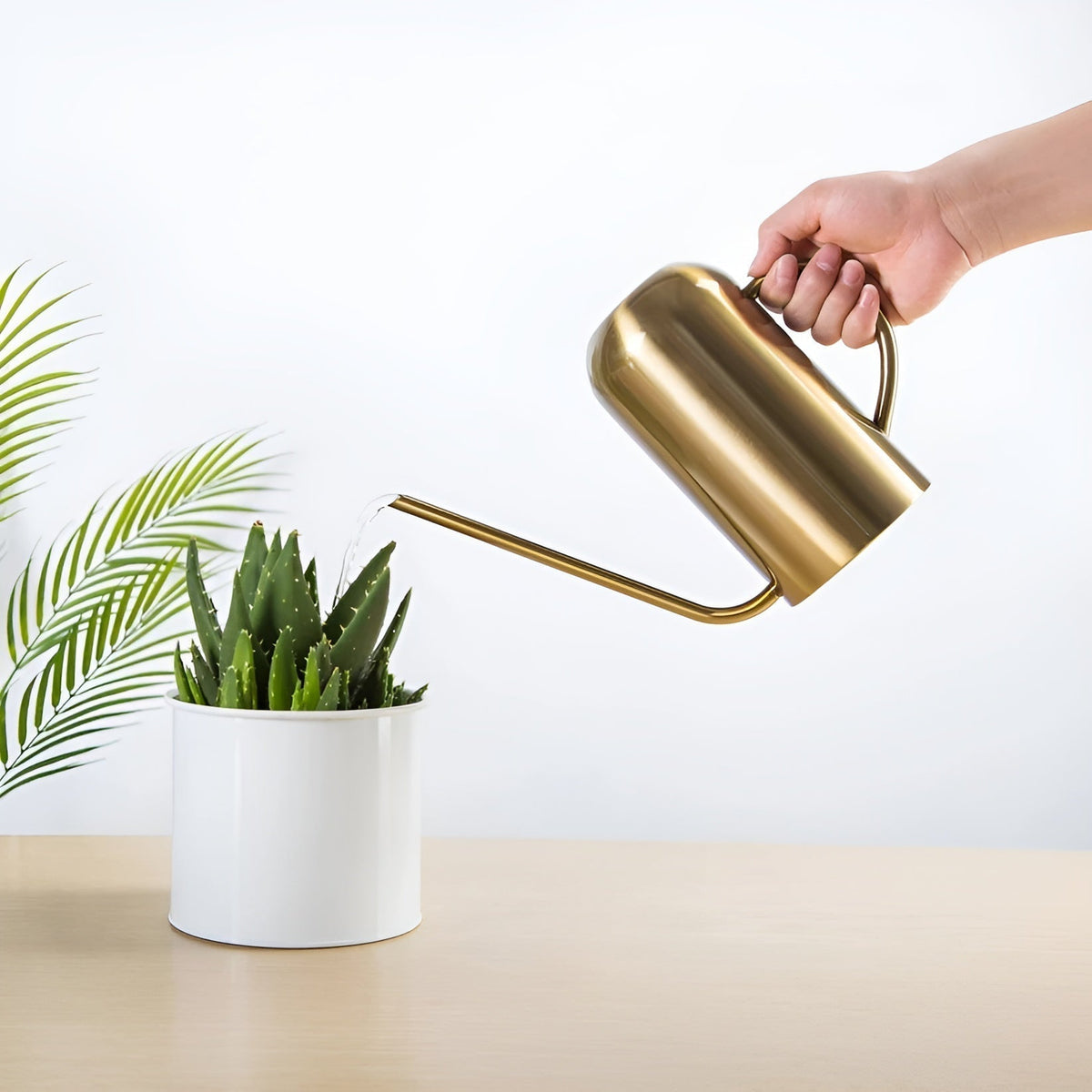 Stainless Steel Long Spout Watering Can, 1.5 L