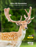 24MP Wildlife Trail Camera with 1080p Night Vision — product view 5