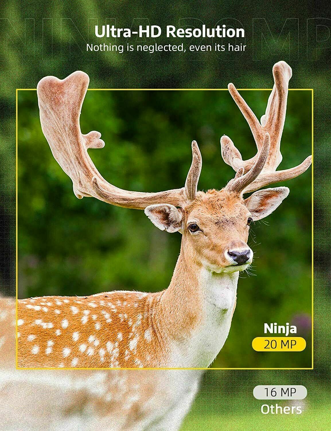 24MP Wildlife Trail Camera with 1080p Night Vision — product view 5