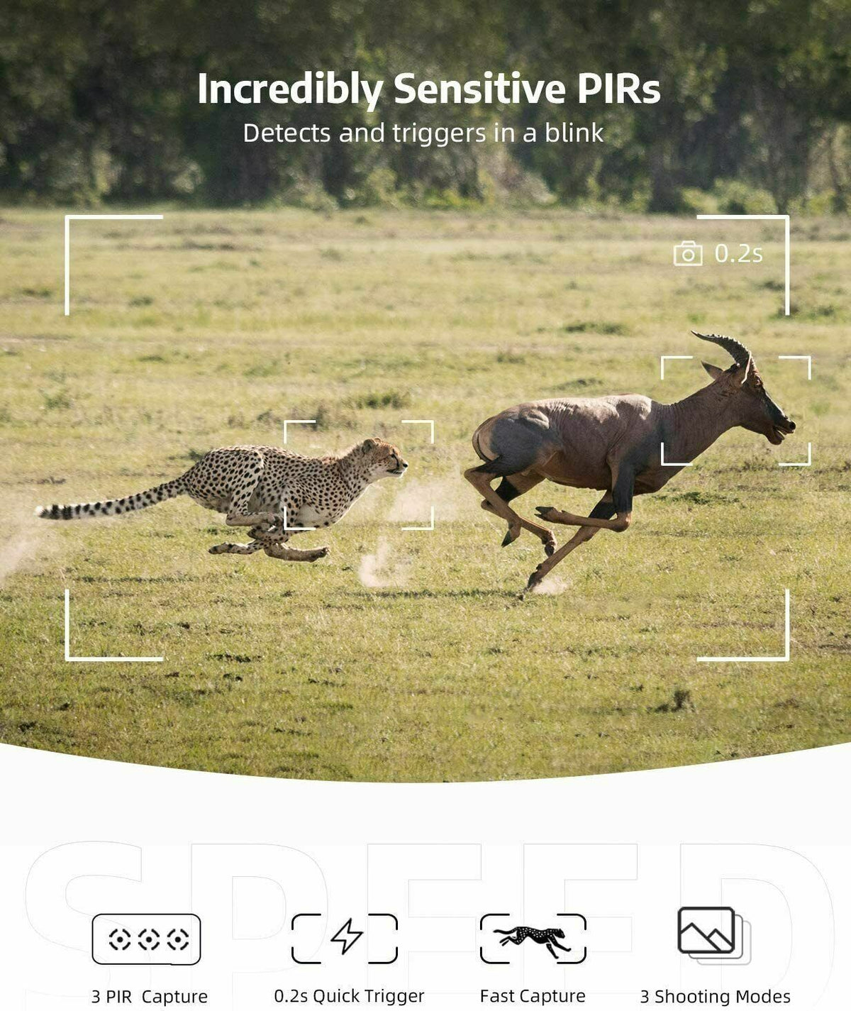 24MP Wildlife Trail Camera with 1080p Night Vision — product view 4