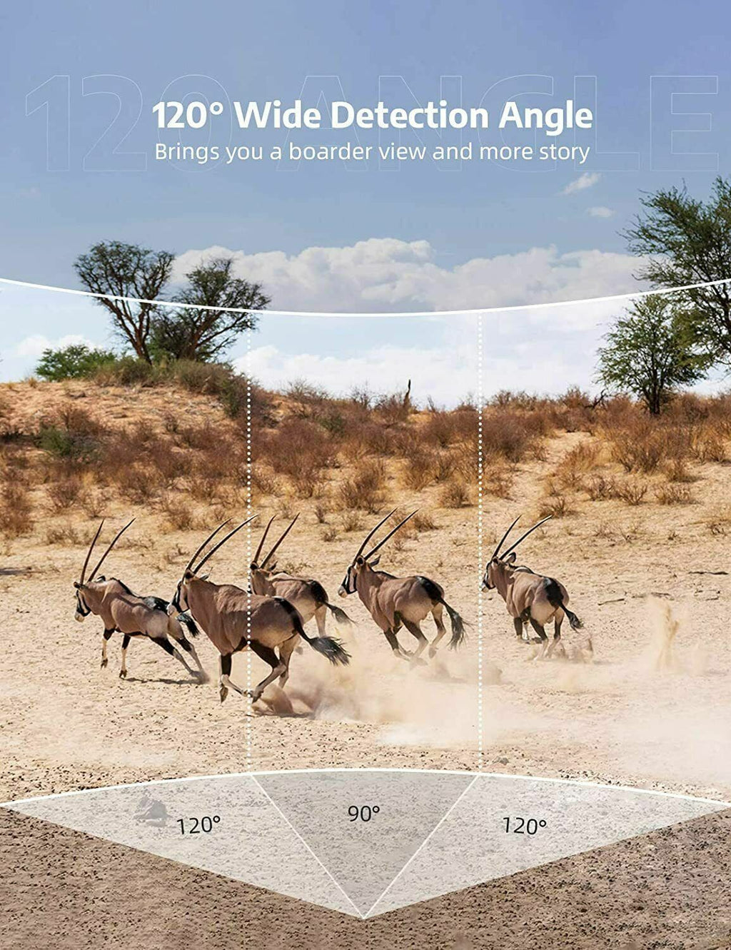 24MP Wildlife Trail Camera with 1080p Night Vision — product view 3