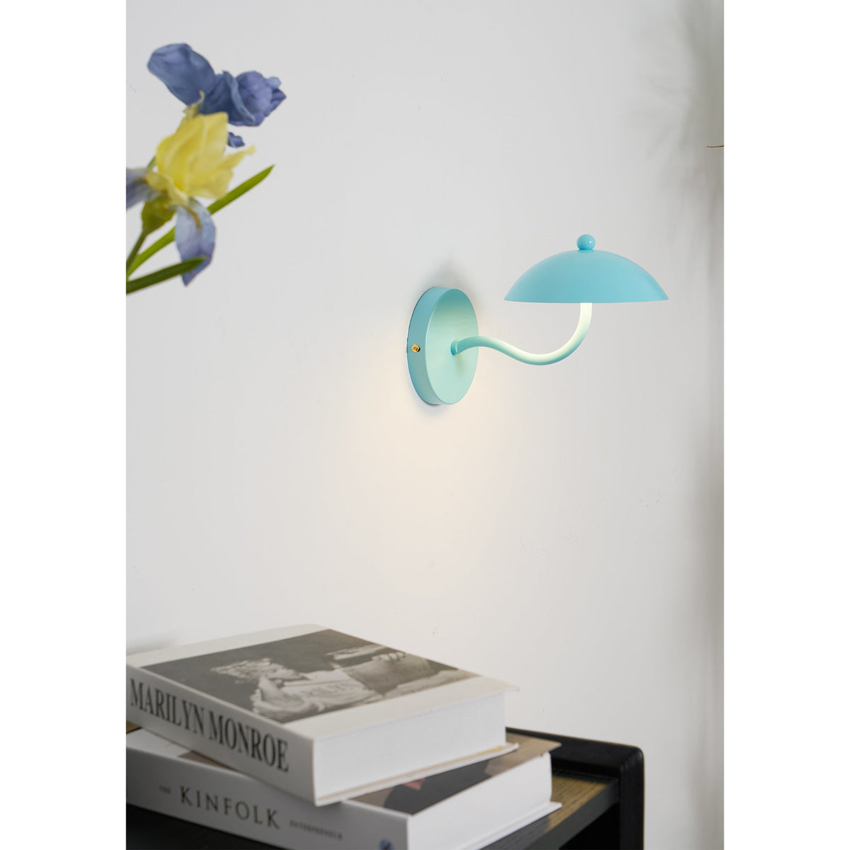 Coloured Metal LED Wall Sconce, Compact Curved Design - view 10