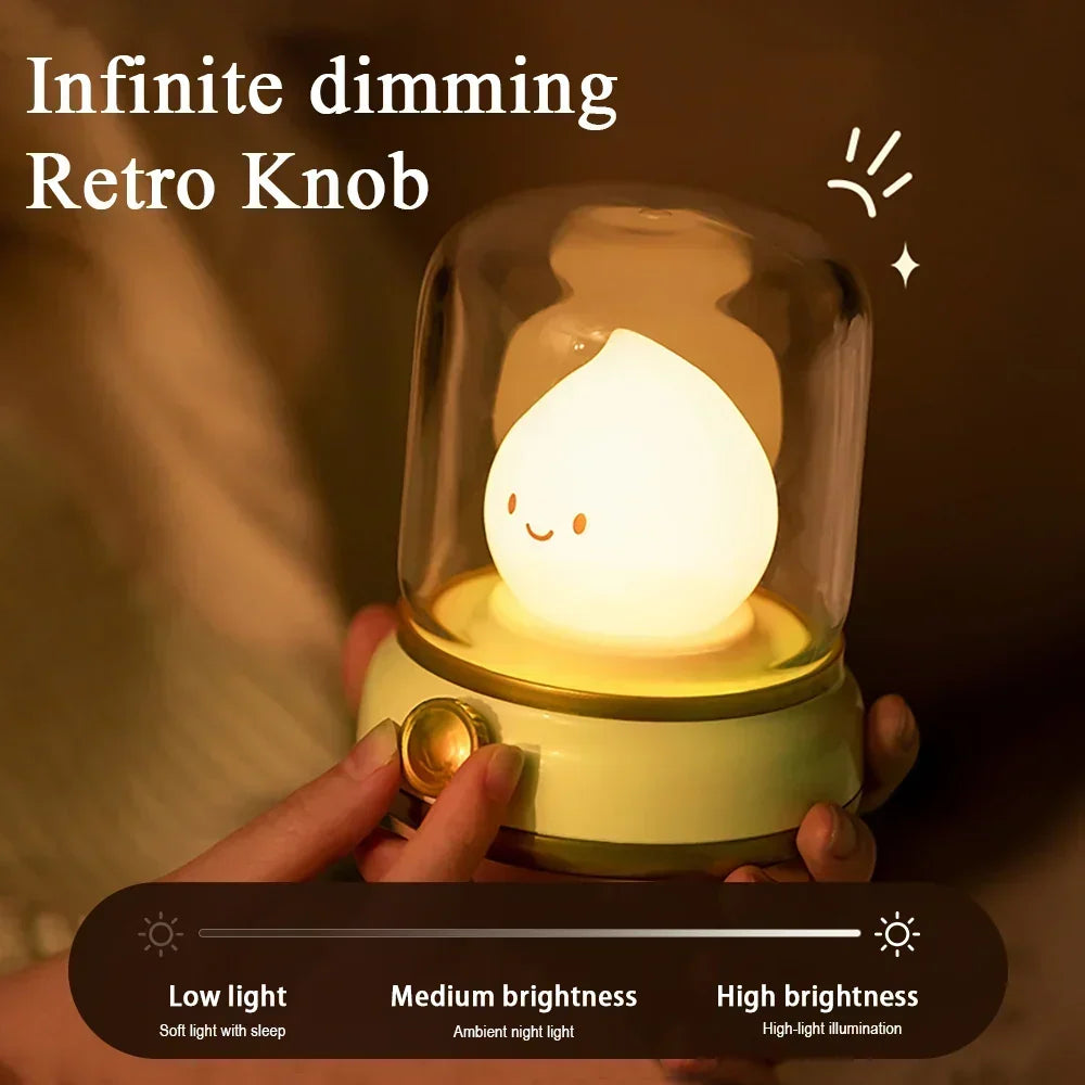 Rechargeable Flameless LED Lantern Night Light