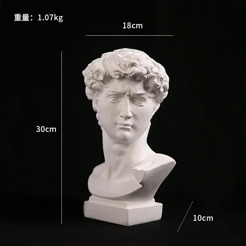 Classical Head Resin Bust