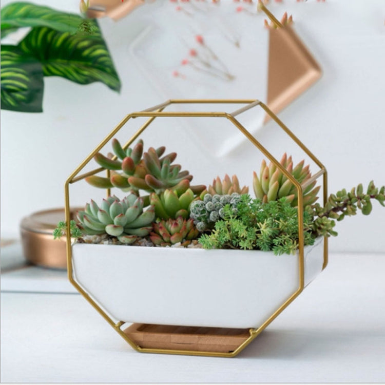Geometric Metal Frame Ceramic Planter