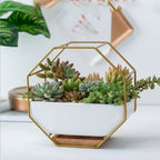 Geometric Metal Frame Ceramic Planter