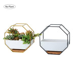 Geometric Metal Frame Ceramic Planter