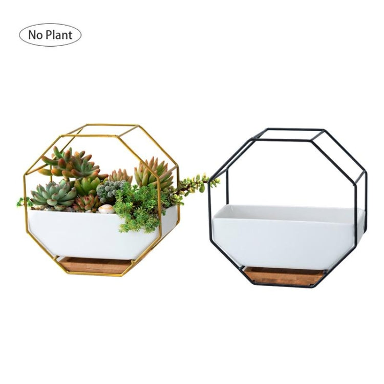 Geometric Metal Frame Ceramic Planter