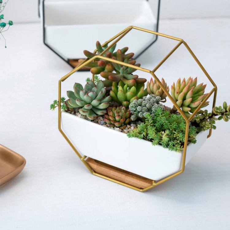 Geometric Metal Frame Ceramic Planter