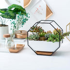 Geometric Metal Frame Ceramic Planter