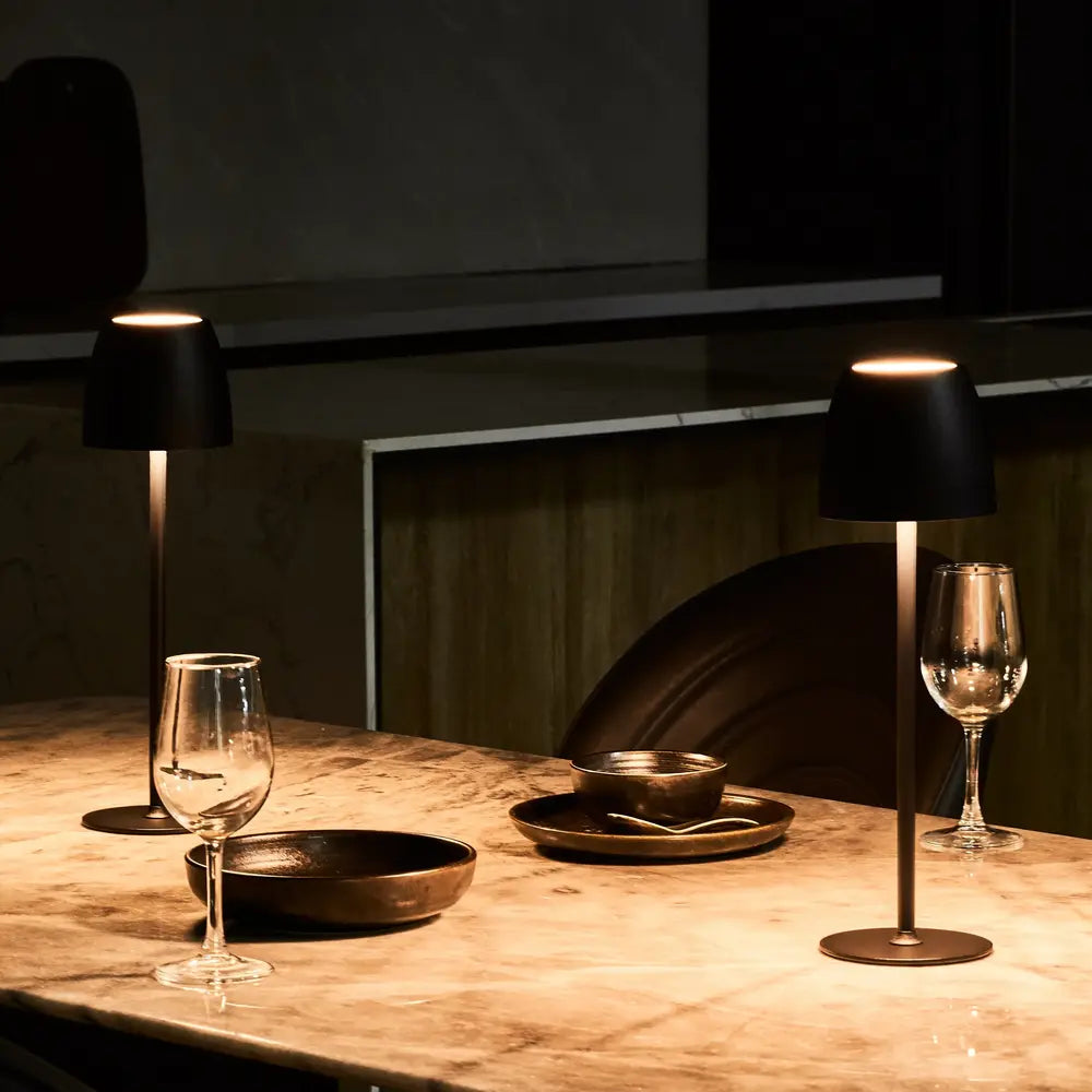 Cordless Rechargeable Table Lamp with Touch Dimming — product view 4