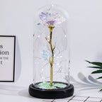 Rose Figure Display Glass Dome Gift Decoration